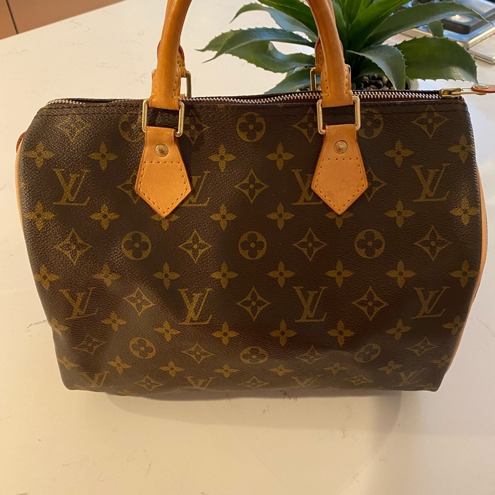 Louis Vuitton Speedy